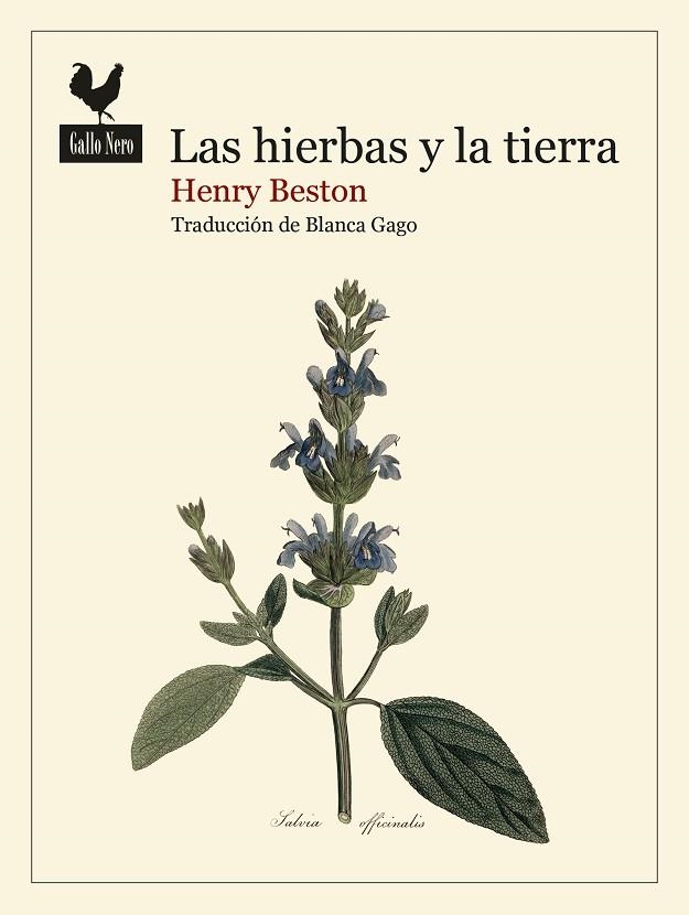 HIERBAS Y LA TIERRA, LAS | 9788419168740 | BESTON, HENRY | Llibreria La Gralla | Librería online de Granollers