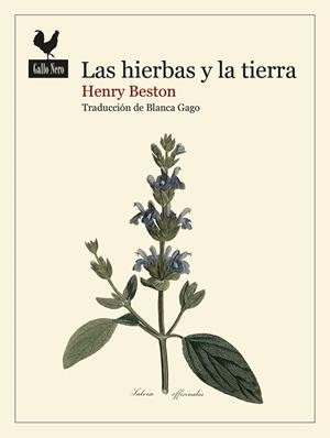 HIERBAS Y LA TIERRA, LAS | 9788419168740 | BESTON, HENRY | Llibreria La Gralla | Llibreria online de Granollers