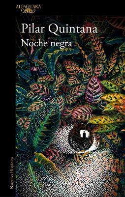 NOCHE NEGRA | 9788420477305 | QUINTANA, PILAR | Llibreria La Gralla | Llibreria online de Granollers