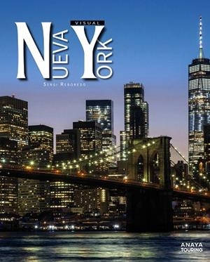 NUEVA YORK VISUAL | 9788491588023 | REBOREDO MANZANARES, SERGI | Llibreria La Gralla | Librería online de Granollers