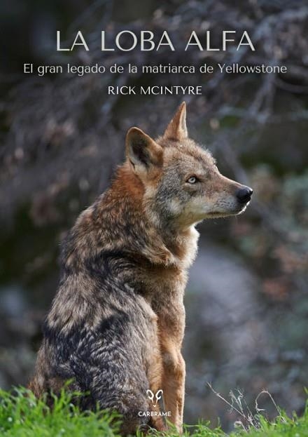 LOBA ALFA, LA | 9788412949001 | MCINTYRE, RICK | Llibreria La Gralla | Librería online de Granollers