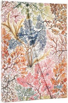 AGENDA PAPERBLANKS 2026 S/VH ANEMONAS MIDI | 9780349712659 | PB DS1265-9 | Llibreria La Gralla | Llibreria online de Granollers