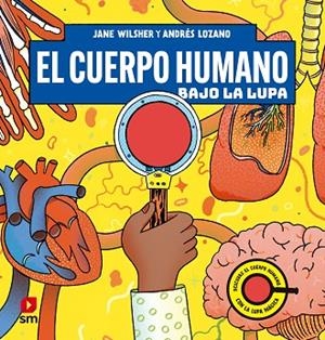 CUERPO HUMANO BAJO LA LUPA, EL | 9788411829021 | WILSHER, JANE | Llibreria La Gralla | Librería online de Granollers