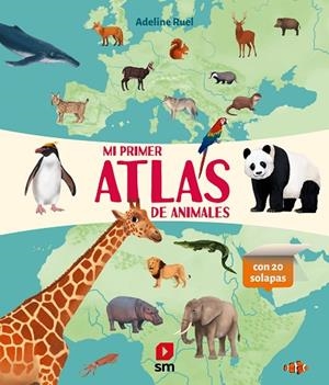 MI PRIMER ATLAS DE ANIMALES | 9788410550575 | RUEL, ADELINE | Llibreria La Gralla | Librería online de Granollers