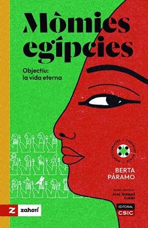 MÒMIES EGÍPCIES | 9788419889614 | PÁRAMO, BERTA | Llibreria La Gralla | Librería online de Granollers