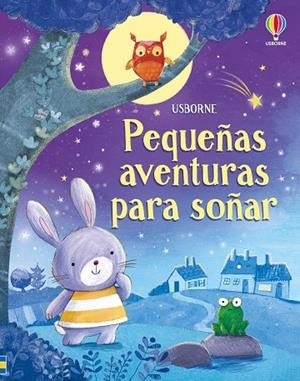 PEQUEÑAS AVENTURAS PARA SOÑAR | 9781836066255 | TAPLIN, SAM | Llibreria La Gralla | Librería online de Granollers