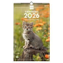 CALENDARI 2026 FINOCAM PARET GRAN IMATGES | 8422952402619 | 78056 | Llibreria La Gralla | Llibreria online de Granollers