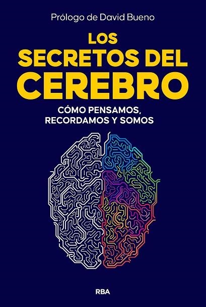 SECRETOS DEL CEREBRO, LOS | 9788410981249 | BUENO, DAVID | Llibreria La Gralla | Librería online de Granollers