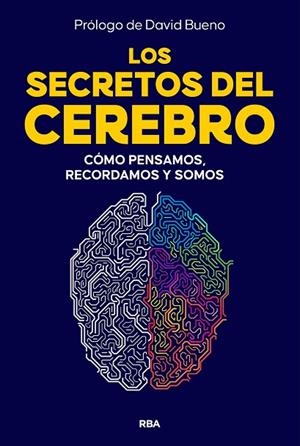 SECRETOS DEL CEREBRO, LOS | 9788410981249 | BUENO, DAVID | Llibreria La Gralla | Llibreria online de Granollers