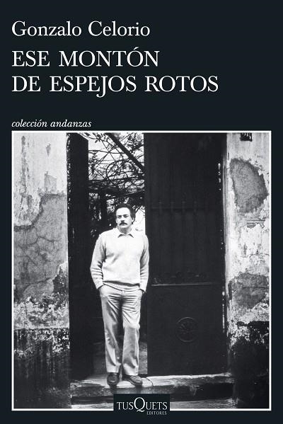ESE MONTÓN DE ESPEJOS ROTOS | 9788411076784 | CELORIO, GONZALO | Llibreria La Gralla | Librería online de Granollers