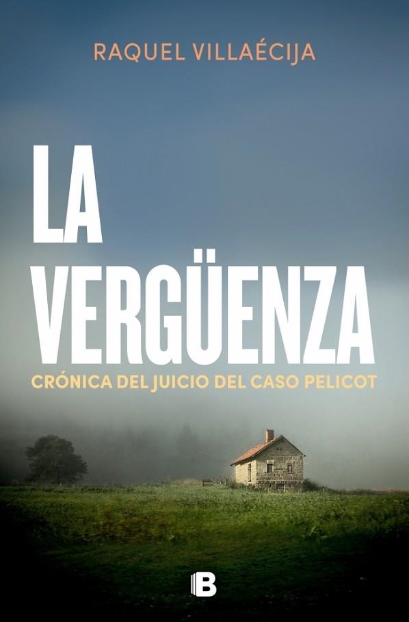 VERGÜENZA, LA | 9788466683029 | VILLAECIJA, RAQUEL | Llibreria La Gralla | Librería online de Granollers