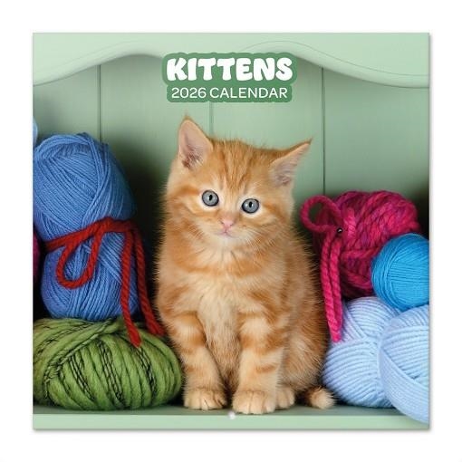CALENDARI 2026 KITTENS | 8435747819684 | GRUPO ERIK | Llibreria La Gralla | Llibreria online de Granollers
