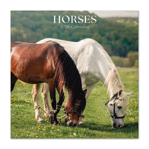 CALENDARI 2026 CAVALLS | 8435747819653 | GRUPO ERIK | Llibreria La Gralla | Librería online de Granollers