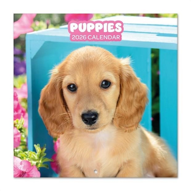 CALENDARI 2026 PUPPIES | 8435747819691 | GRUPO ERIK | Llibreria La Gralla | Llibreria online de Granollers