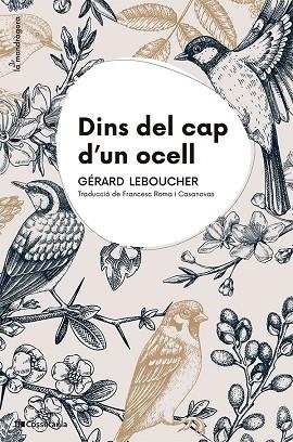 DINS DEL CAP D'UN OCELL | 9788413565163 | LEBOUCHER, GÉRARD | Llibreria La Gralla | Librería online de Granollers