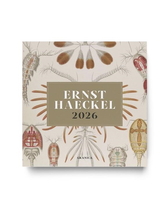 ERNST HAECKEL 2026, CALENDARIO DE PARED | 9786316693327 | HAECKEL, ERNST | Llibreria La Gralla | Librería online de Granollers