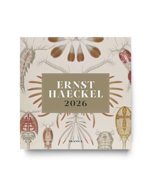 ERNST HAECKEL 2026, CALENDARIO DE PARED | 9786316693327 | HAECKEL, ERNST | Llibreria La Gralla | Llibreria online de Granollers