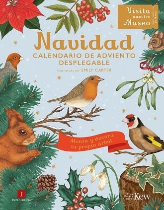 NAVIDAD | 9788419581624 | CARTER, EMILY | Llibreria La Gralla | Librería online de Granollers
