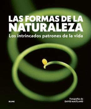 FORMAS DE LA NATURALEZA,  LAS | 9788410469822 | MAITLAND, DAVID | Llibreria La Gralla | Llibreria online de Granollers