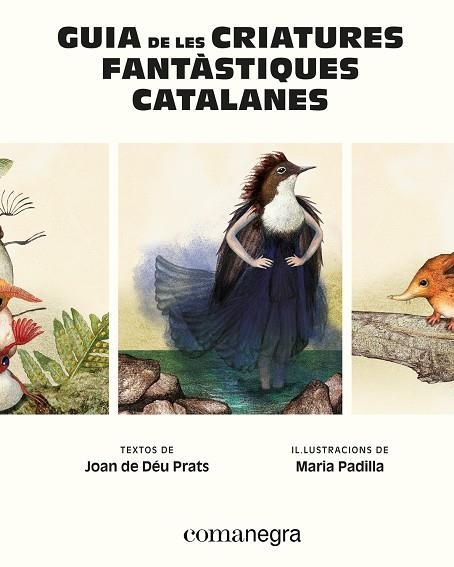 GUIA DE LES CRIATURES FANTÀSTIQUES CATALANES | 9788410161900 | PRATS, JOAN DE DÉU ; PADILLA, MARIA | Llibreria La Gralla | Llibreria online de Granollers