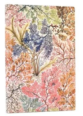 LLIBRETA PAPERBLANKS A7 RATLLES TAPA FLEXIBLE 208F 80GR ANEMONE | 9781439799062 | PB FB9906-2 | Llibreria La Gralla | Llibreria online de Granollers