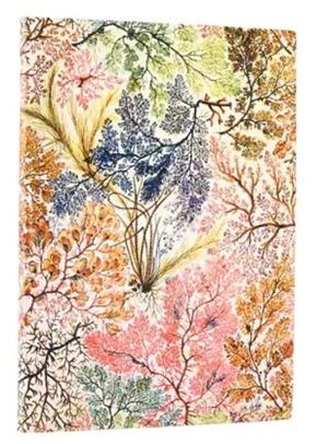 LLIBRETA PAPERBLANKS MIDI RATLLES TAPA FLEXIBLE 176F 100GR | 9781439799048 | PB FB9904-8 | Llibreria La Gralla | Llibreria online de Granollers