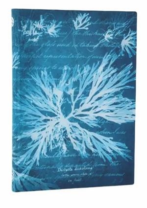 LLIBRETA PAPERBLANKS MIDI RATLLES TAPA FLEXIBLE 176F 100GR SEA FLOWERS | 9780349713670 | PB FB1367-0 | Llibreria La Gralla | Librería online de Granollers