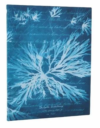 LLIBRETA PAPERBLANKS ULTRA RATLLES TAPA FLEXIBLE 176F 100GR SEA FLOWERS | 9780349713656 | PB FB1365-6 | Llibreria La Gralla | Librería online de Granollers