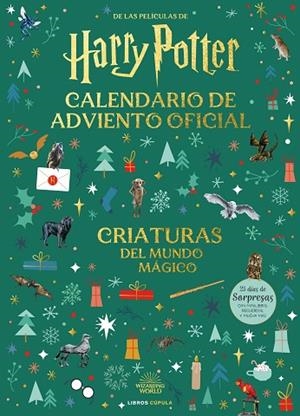 HARRY POTTER: CALENDARIO DE ADVIENTO 2025 | 9788448045128 | AA. VV. | Llibreria La Gralla | Llibreria online de Granollers