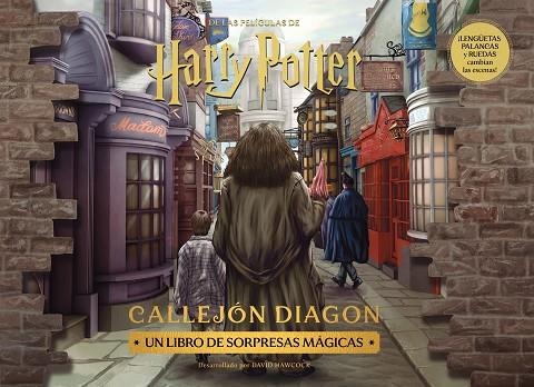 HARRY POTTER: DIAGON ALLEY | 9788448045135 | AA. VV. | Llibreria La Gralla | Llibreria online de Granollers