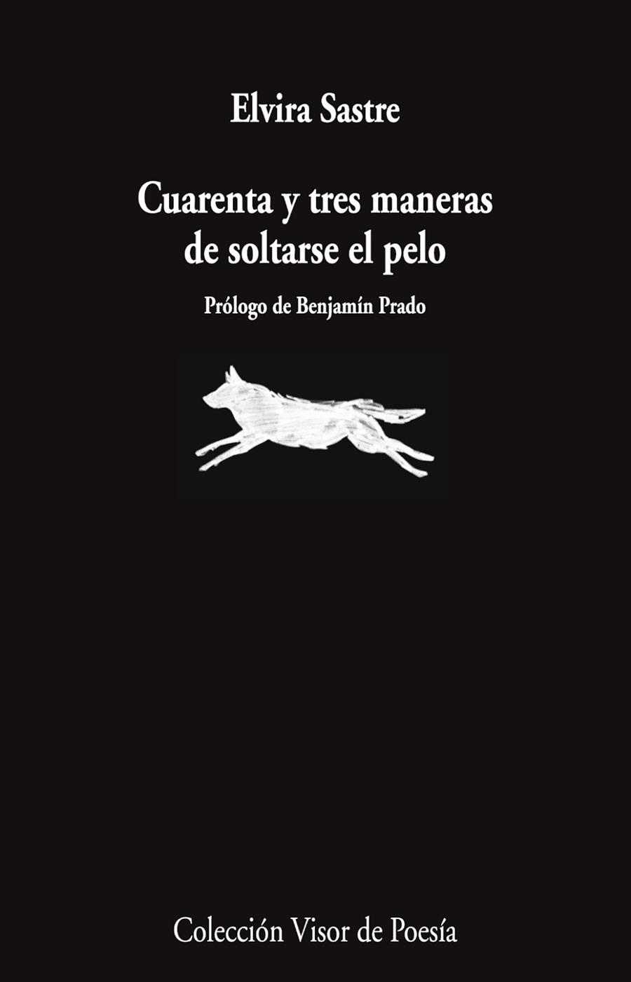 CUARENTA Y TRES MANERAS DE SOLTARSE EL PELO | 9791387745868 | ELVIRA SASTRE | Llibreria La Gralla | Librería online de Granollers
