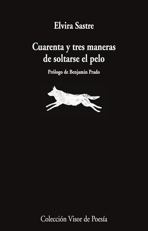 CUARENTA Y TRES MANERAS DE SOLTARSE EL PELO | 9791387745868 | ELVIRA SASTRE | Llibreria La Gralla | Librería online de Granollers
