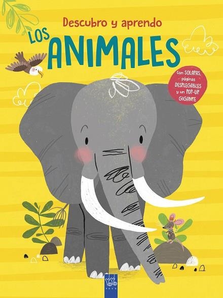 DESCUBRO Y APRENDO. LOS ANIMALES | 9788408302070 | VVAA | Llibreria La Gralla | Librería online de Granollers
