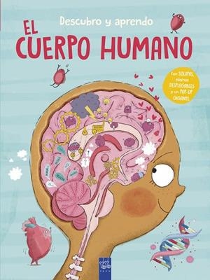 DESCUBRO Y APRENDO. EL CUERPO HUMANO | 9788408302087 | VVAA | Llibreria La Gralla | Librería online de Granollers