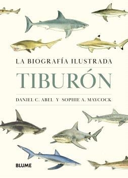 TIBURÓN | 9788410469853 | ABEL, DANIEL C. ;  MAYCOCK, SOPHIE A. | Llibreria La Gralla | Llibreria online de Granollers