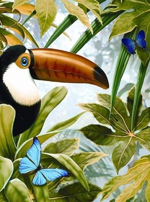 SET PINTAR AMB NUMEROS TUCAN | 090672068552 | 068552 | Llibreria La Gralla | Librería online de Granollers