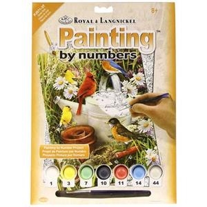SET PINTAR AMB NUMEROS OCELLS AL JARDI | 090672077189 | 077189 | Llibreria La Gralla | Librería online de Granollers
