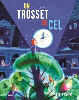 TROSSET DE CEL, UN | 9791387881450 | CORRY, LYDIA | Llibreria La Gralla | Librería online de Granollers