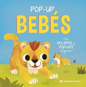 POP-UP BEBÉS - CON SOLAPAS Y POP-UPS SORPRESA | 9788419898968 | BLAKE, CARLY | Llibreria La Gralla | Librería online de Granollers