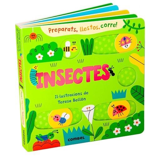 INSECTES | 9788411583046 | Llibreria La Gralla | Librería online de Granollers