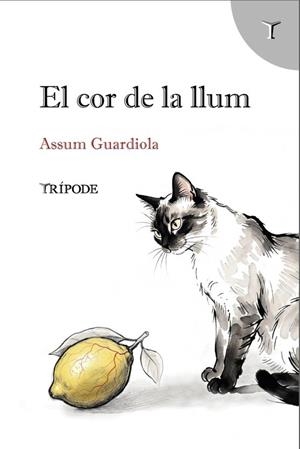 EL COR DE LA LLUM | 9791399090376 | GUARDIOLA, ASSUM | Llibreria La Gralla | Llibreria online de Granollers