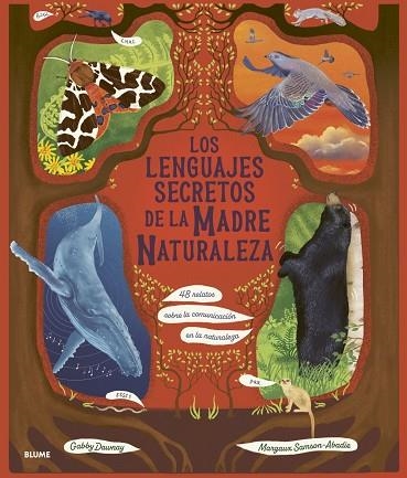 LENGUAJES SECRETOS DE LA MADRE NATURALEZA, LOS | 9788410469945 | DAWNAY, GABBY / SAMSON ABADIE, MARGAUX | Llibreria La Gralla | Librería online de Granollers
