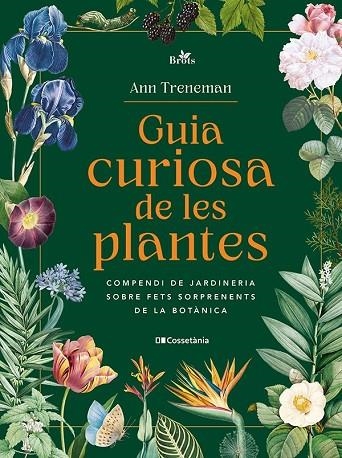 GUIA CURIOSA DE LES PLANTES | 9788413565354 | TRENEMAN, ANN | Llibreria La Gralla | Llibreria online de Granollers