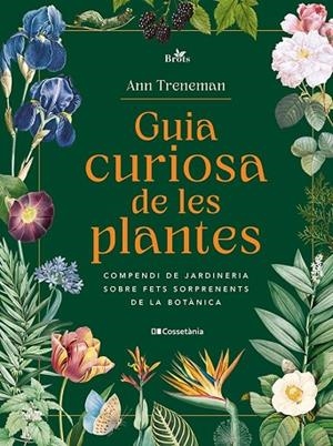 GUIA CURIOSA DE LES PLANTES | 9788413565354 | TRENEMAN, ANN | Llibreria La Gralla | Llibreria online de Granollers