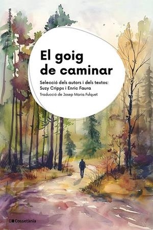 GOIG DE CAMINAR, EL | 9788413565750 | VVAA | Llibreria La Gralla | Llibreria online de Granollers
