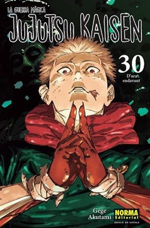 JUJUTSU KAISEN 30 CATALA | 9788467976281 | AKUTAMI, GEGE | Llibreria La Gralla | Llibreria online de Granollers