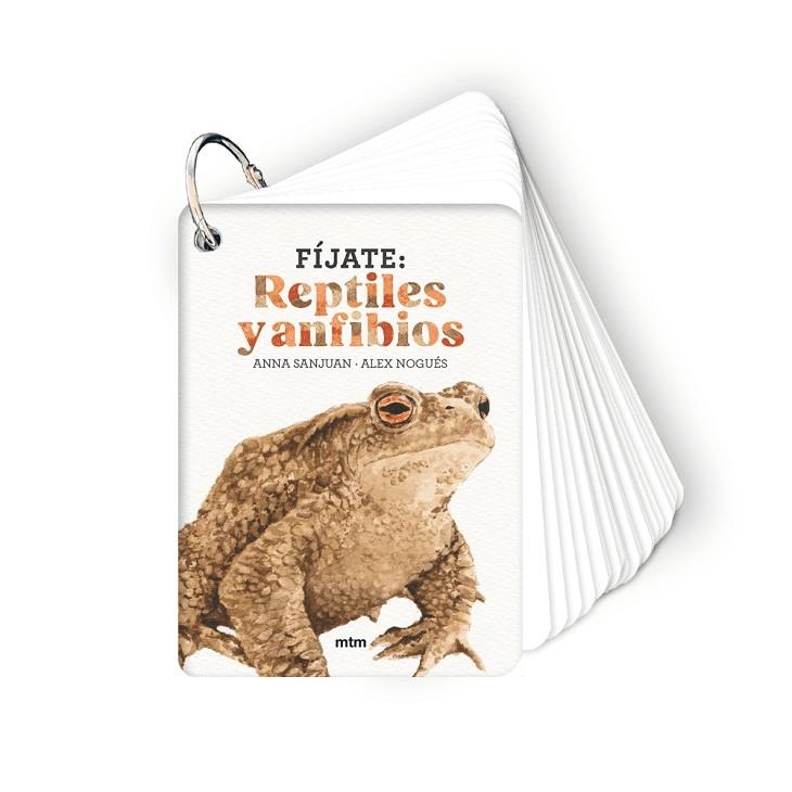 FÍJATE: REPTILES Y ANFIBIOS | 9788410407596 | SANJUAN LLORENS, ANNA / NOGUÉS OTERO, ALEX | Llibreria La Gralla | Llibreria online de Granollers