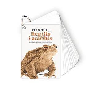FIXA-T'HI: RÈPTILS I AMFIBIS | 9788410407602 | SANJUAN LLORENS, ANNA / NOGUÉS OTERO, ALEX | Llibreria La Gralla | Llibreria online de Granollers
