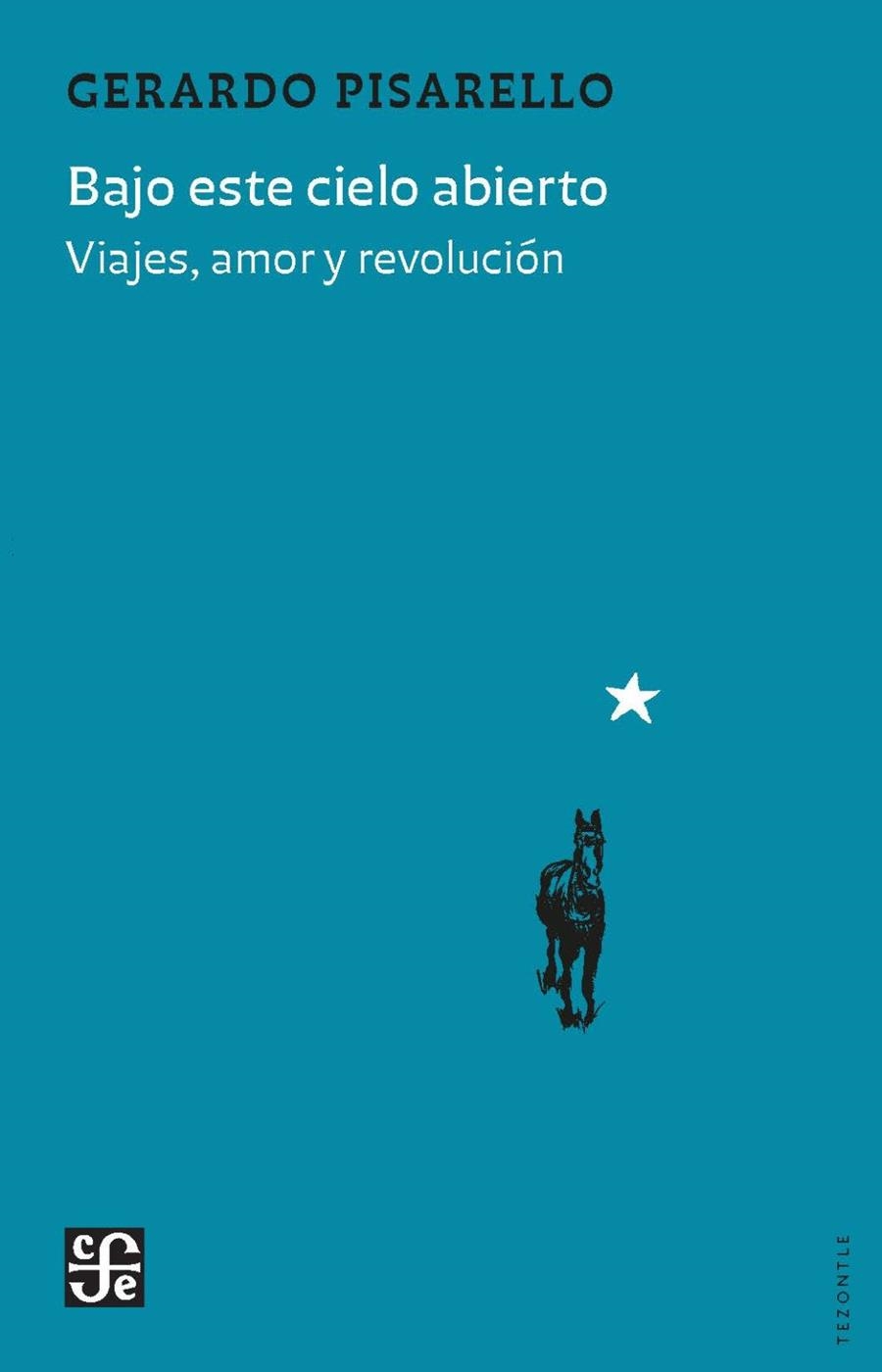 BAJO ESTE CIELO ABIERTO | 9788437508573 | PISARELLO PRADOS, GERARDO | Llibreria La Gralla | Librería online de Granollers