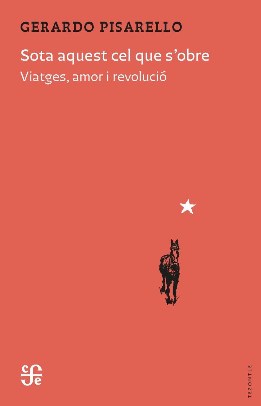SOTA AQUEST CEL QUE S'OBRE | 9788437508580 | PISARELLO PRADOS, GERARDO | Llibreria La Gralla | Librería online de Granollers